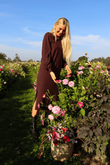 ENA-LS-DRESS - DARK BROWN