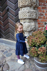 ALMA-LS-DRESS3 (KIDS) - NAVY1