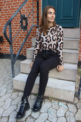 ALMA-TOP2 - BIG LEO SAND